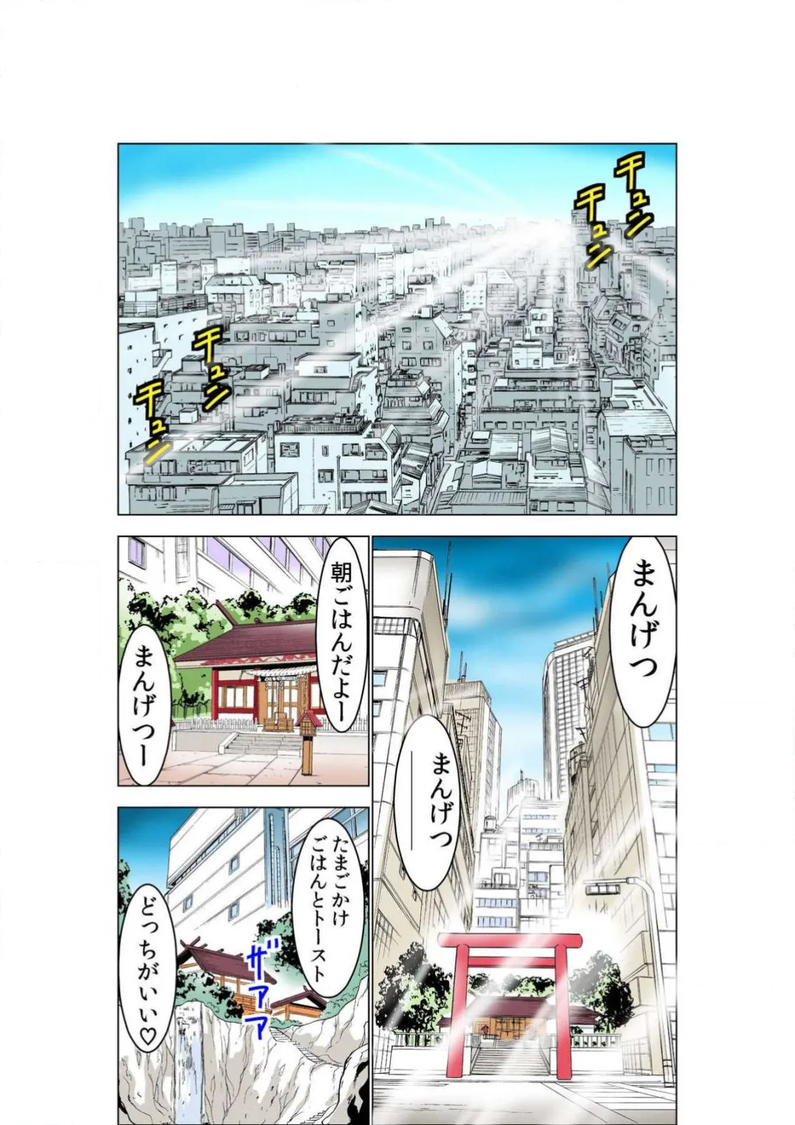 ページ画像