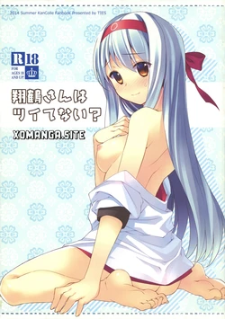 (C86) [TIES (Takei Ooki)] Is Shoukaku-san out of luck? | Shoukaku-san wa Tsuitenai? (Kantai Collection -KanColle-) [English] [XO Manga]