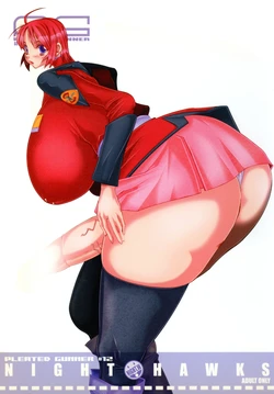 (Puniket 11) [HGH (HG Chagawa)] PG#12 NIGHT HAWKS (Mobile Suit Gundam SEED)