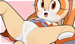 [Bunguy] Cream & Chao (Sonic the Hedgehog) 作品封面