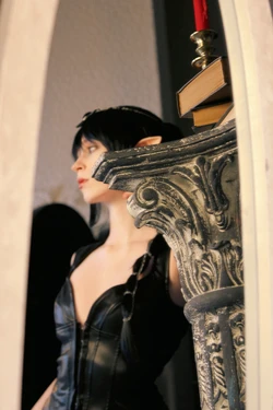 Sora Ookami | Shadowheart 作品封面