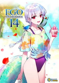 (C108) [ReDrop (Miyamoto Smoke, Otsumami)] FGO Illustrations 14 (Fate/Grand Order) 作品封面