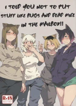 (Shikemoku 1-ponme) [Shimimaru Seisakusho (Various)] Yuubinuke ni Nezumi dano Mushi dano Shigai Ireru no Yamerottsutten daro!! (Yanineko) [English] (WIP) 作品封面