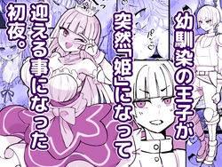 [Hidaka Mainichi] Osananajimi no Ouji ga Totsuzen  Hime  ni natte Mukaeru Koto ni natta Shoya / My Childhood Friend Who's a Prince Turned Into A Princess And It's Our First Night After We Got Married [English] {Doujins.com}