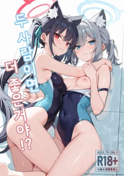 [TIKOSEWAD~~ (T1kosewad)] Futari nara Ii deshou!? | 두 사람이면 더 좋은 거야!? (Blue Archive) [Korean] [Uncensored] [Digital] 作品封面