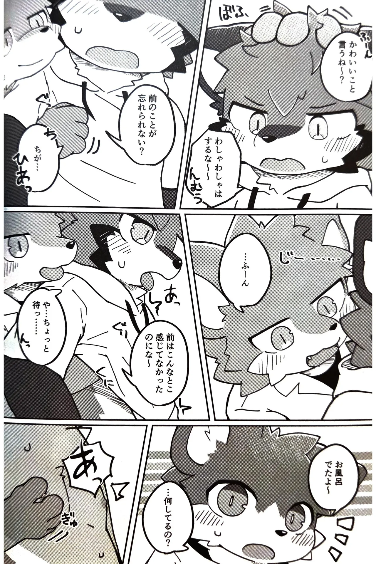 ページ画像