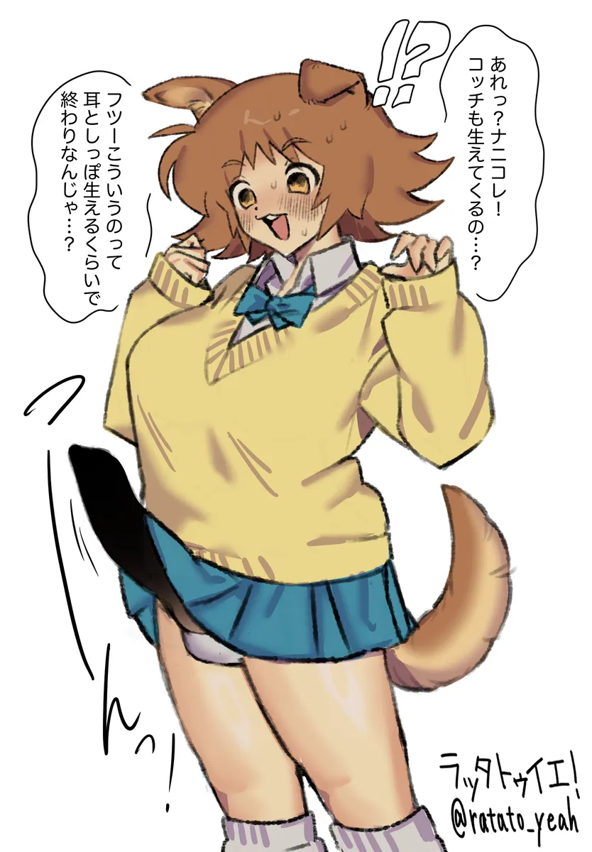 ページ画像