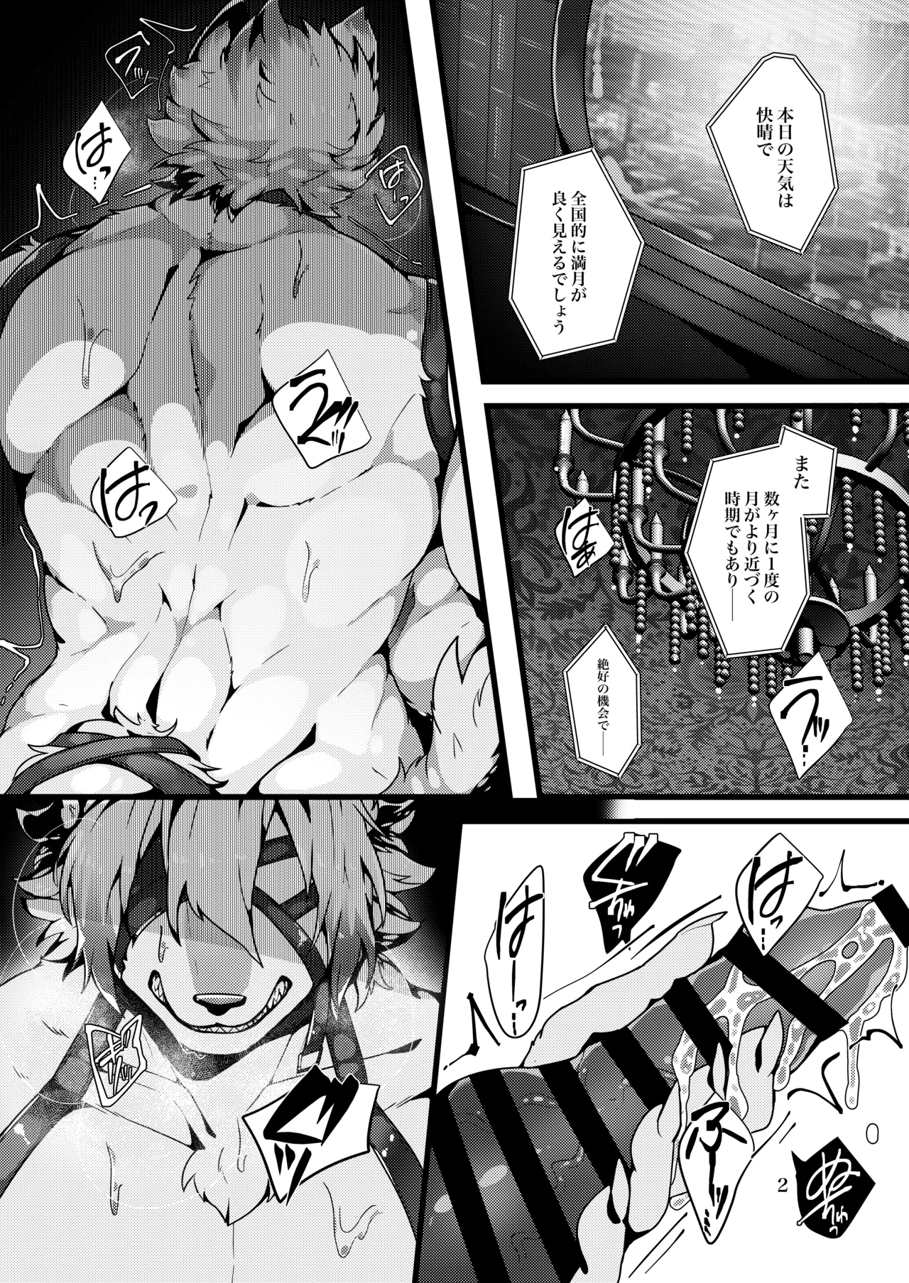 ページ画像