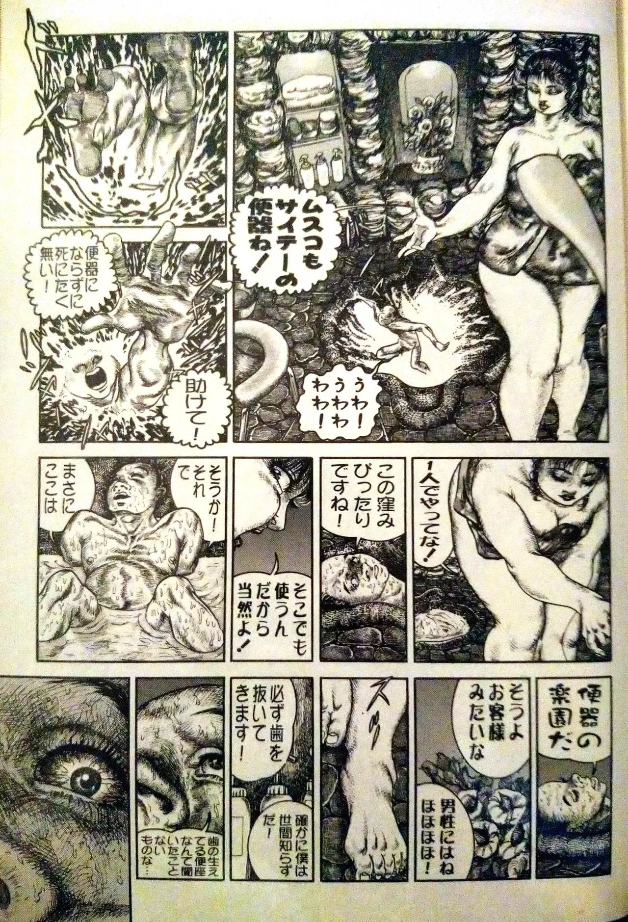 ページ画像