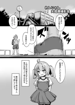 [Toka] The Great Dog and Cat Rampage Photo Shoot