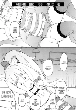 [Ookami Uo] 케모케모 원교 95 아니르 짱[Korean] 作品封面