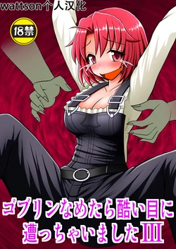 [Asanoya (Kittsu)] Goblin Nametara Hidoi Me ni Acchaimashita III (Goblin Slayer) [Chinese] [Digital]