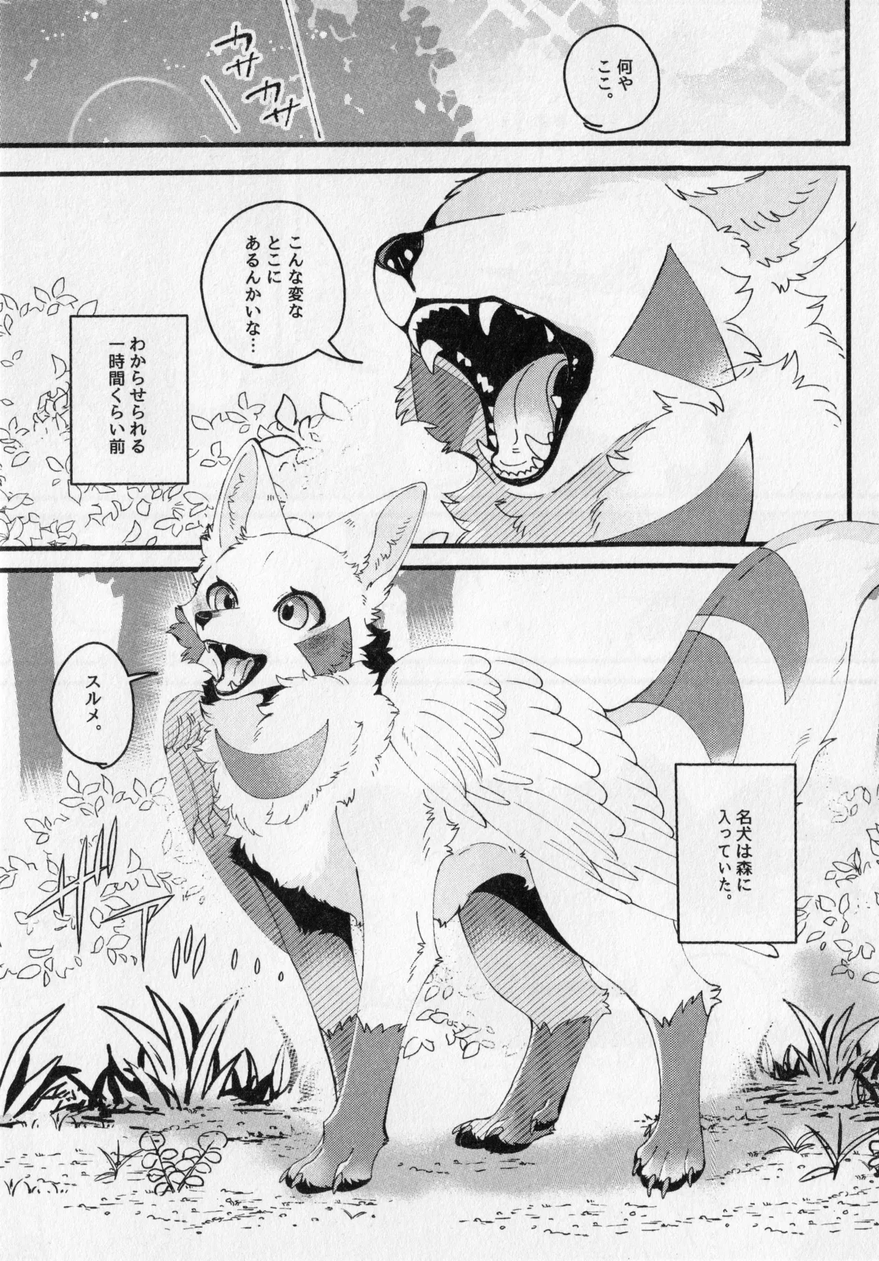 ページ画像
