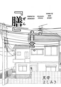 【Nankite Gaiden 】Tae Hikarigaoka's Ordinary Everyday Life 『Zen』 作品封面