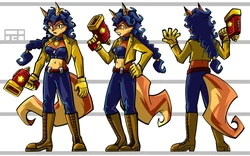 Bridge of Faust  Sly Cooper Model Sheets 作品封面
