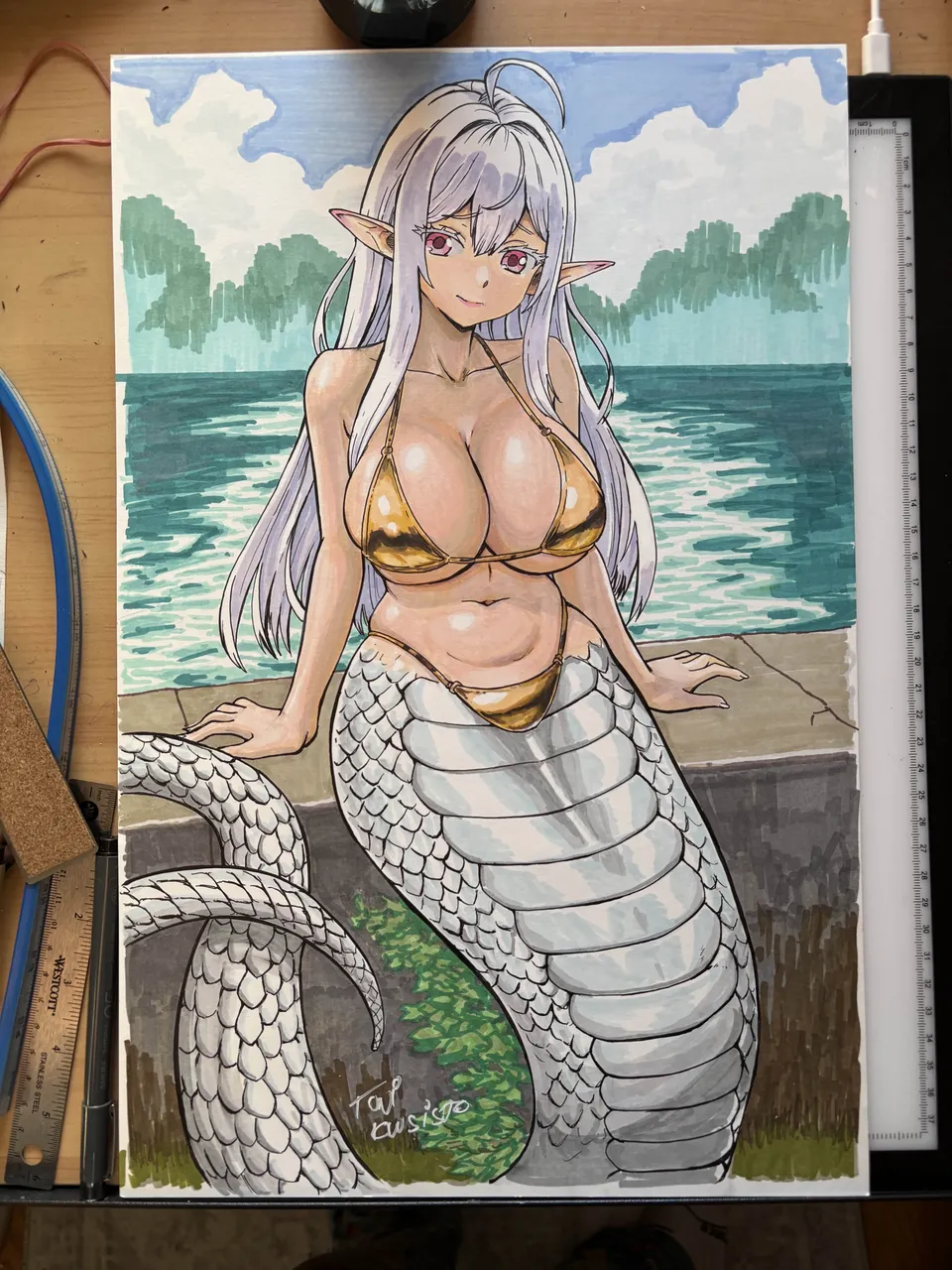 ページ画像