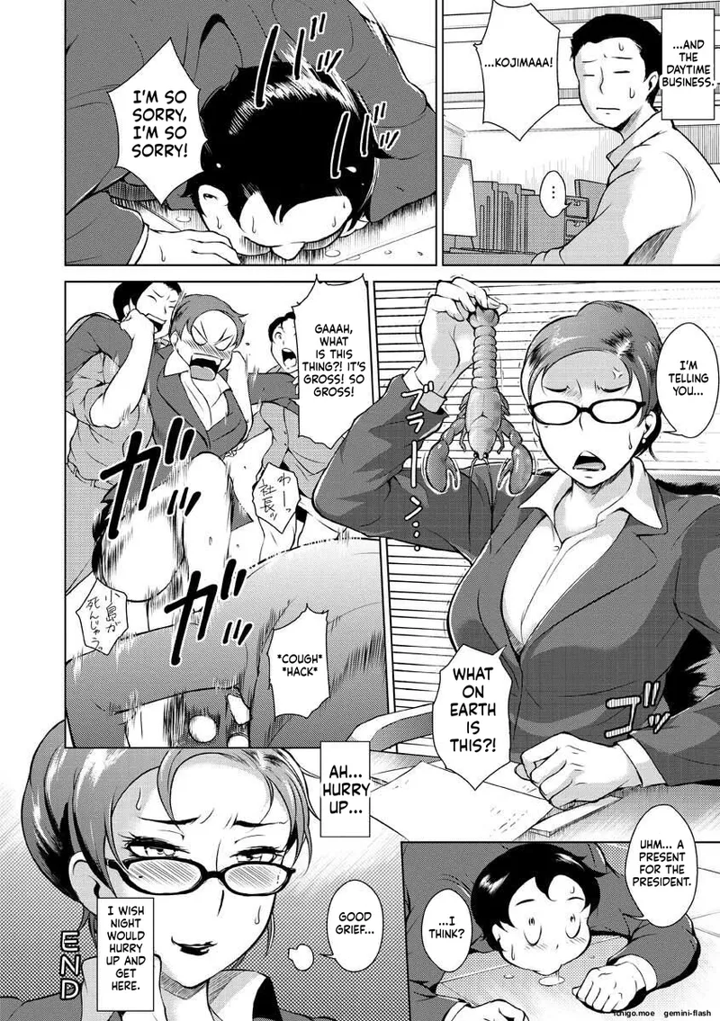 ページ画像
