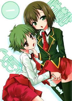 (C75) [Ndemotte (200X ZOOM, KOIZUMI)] Baka Narabi (Baka to Test to Shoukanjuu) 作品封面