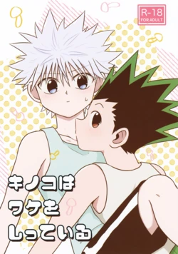 (Re:HUNTER 10) [Kizuguchi wa Nurasanai (Gyonii)] Kinoko wa Wake o Shitte Iru (Hunter x Hunter)