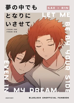 [はむサワー (やま)] LET ME BE BY YOUR SIDE EVEN IN MY DREAM. (Blue Lock) [Digital]