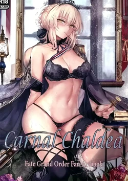 (C95) [Amakaya (Misaka12003)] Carnal Chaldea (Fate/Grand Order) [Spanish] [JFairy Traslate]