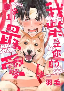 [Umou] Ummei no Koi Shiba︱我「柴」是你的最爱 [Chinese][1-6][完] 作品封面
