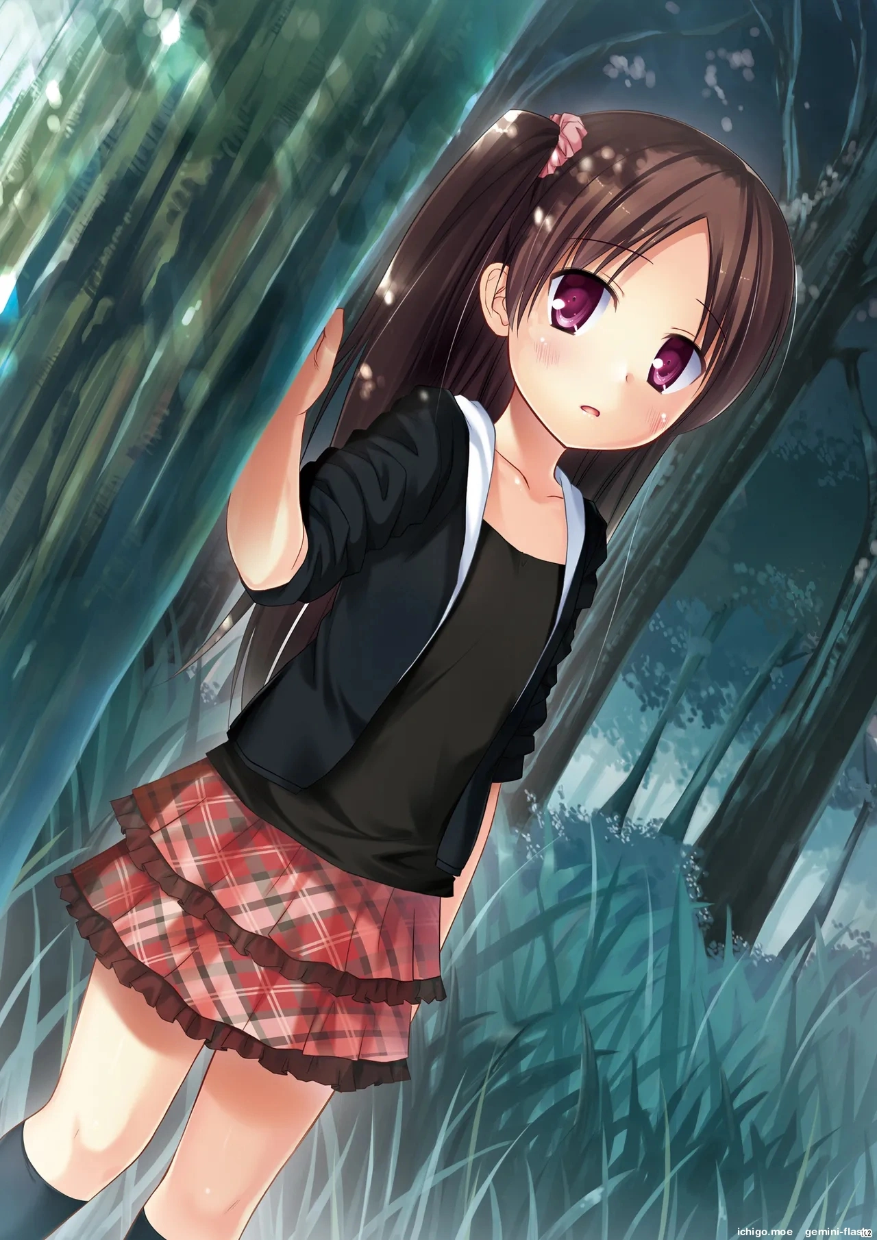 ページ画像