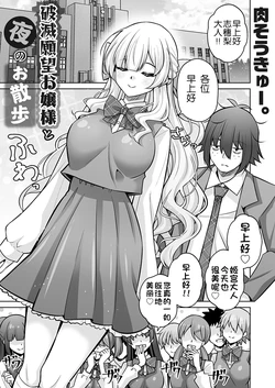 [Nikusoukyuu.] Hametsu Ganbou Ojousama to Yoru no Osanpo [Chinese] [5DK个人汉化]