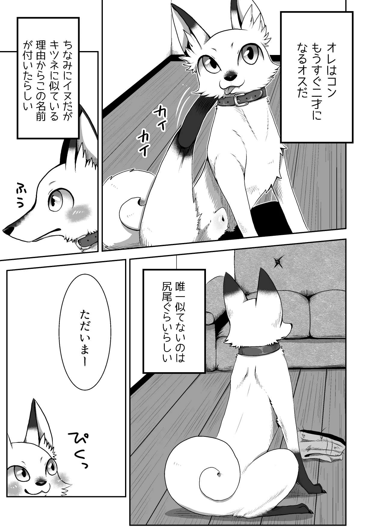 ページ画像