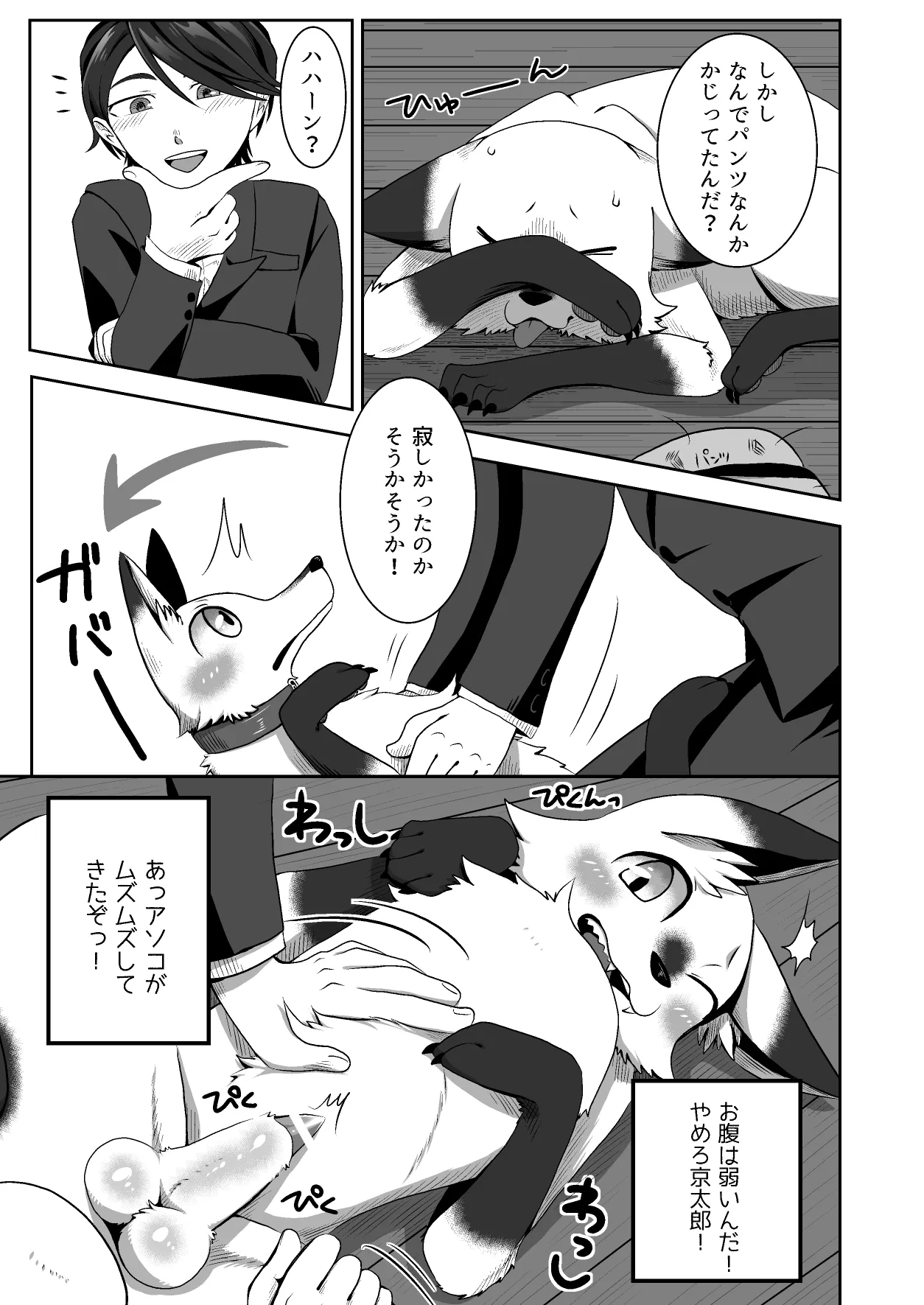ページ画像