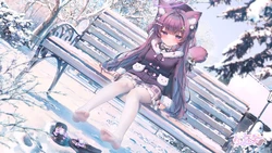 [FANBOX]鬼針草
