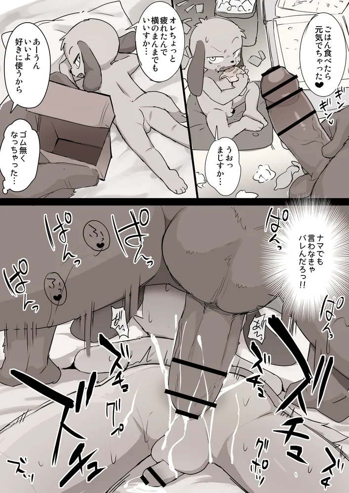 ページ画像