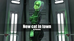 New Cat In Town