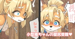 [がよくみだら] 小型種ちゃんの壁尻受難 作品封面