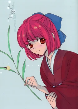 （C74）[pyrenees(Aihara Otome/Yamada Nyoriko)]七夜月|Nanayoduki(Tsukihime) 作品封面