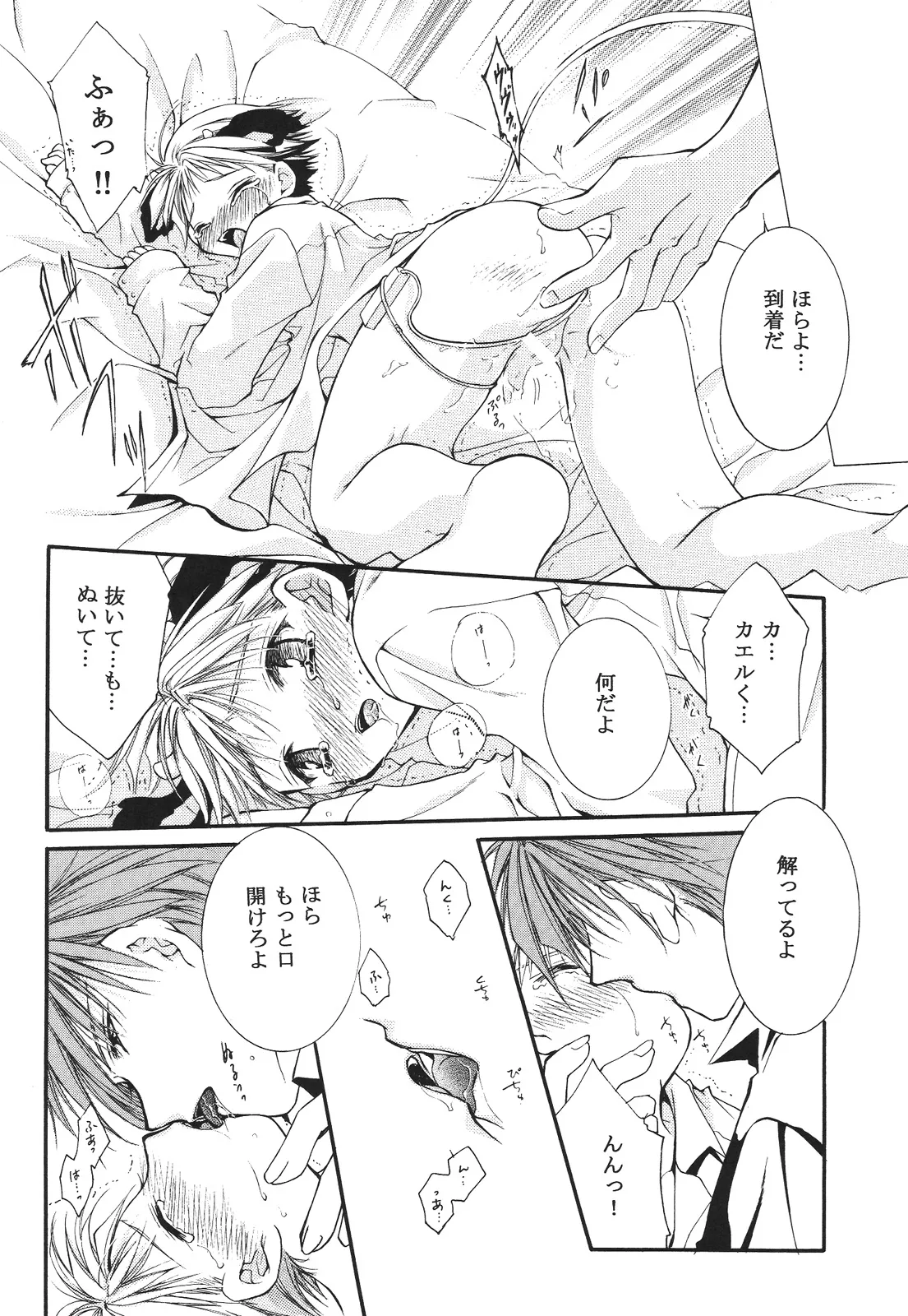 ページ画像