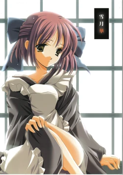 (C62) [VISTA (Ootake Riiko)] Setsugekka | 雪月华 (Tsukihime) [Chinese MT][冠位巫净琥珀推]【月姬】 作品封面