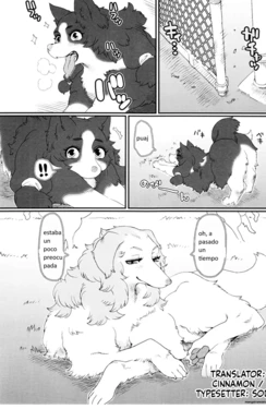 Kemokko Lovers 6 [Spanish] [Traducido por helsin gabriel H+G] 作品封面