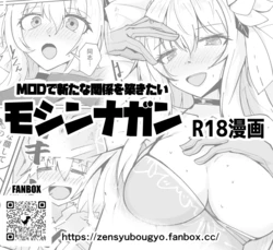 [ミナミ・シン] ドルフロ１ モシンナガンR18漫画 作品封面