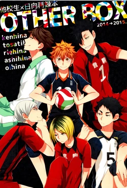 (6teki no Jishuren! 2) [Yojohan (fzou)] Hokakosei×Hinatashou Sairokuhon OTHER BOX (Haikyuu!!) 作品封面