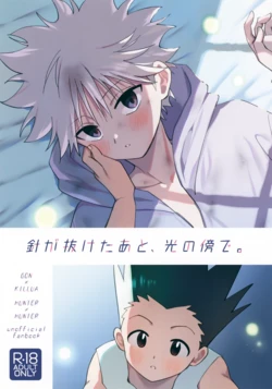 (ENDLESS×HUNTER 2) [P-SUKAGOO (Guusuka)] Hari ga Nuketa Ato, Hikari no Soba de. (Hunter x Hunter)