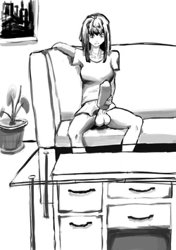 初次尝试 作品封面