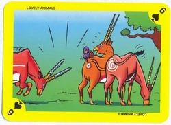 Lovely animals Collectible Cards 作品封面