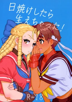 (COMIC1☆27) [MURDER HOUSE (Workaholic)] Hiyake Shitara hae Chatta! (Street Fighter) 作品封面