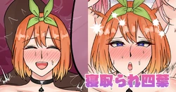 [テフル] 寝取られ四葉 (五等分の花嫁) 作品封面
