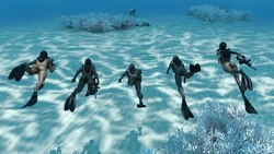 [Agent Tygress] SCUBA 01-03 作品封面
