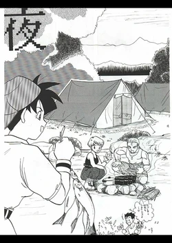 Dragon Ball Camp (Gohan & Videl) (VGT13) (English) 作品封面