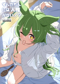 [Bizensiki Roroppu (Bizen)] Zundamon ni wa Jinken ga Nai!? (VOICEROID) [Digital] 作品封面