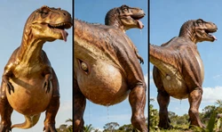 Pregnant Rex Lay Egg [AI Generated]