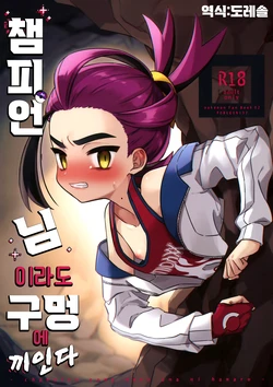 (Challenger! 29) [PORYGON137 (Hidari Pory5n)] Champion-sama Demo Ana ni Hamaru | 챔피언 님이라도 구멍에 끼인다 (Pokémon Scarlet and Violet) [Korean] [도레솔] 作品封面
